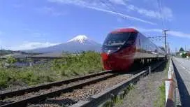 "Sweets Train 'Mt. Fuji View Express' and All-You-Can-Eat Yamanashi Shine Muscat Grape Picking, All-You-Can-Pack Kikyo Shingen Mochi & Yamanashi Specialty Hoto Lunch" [Departing from Shinjuku]