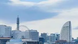 日本 |【東京発】千葉 / 埼玉 / 横浜観光 10時間貸切チャーター車