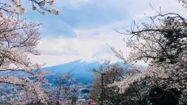 日本 |【東京発】富士山/ 箱根/鎌倉 観光10時間貸切チャーター車