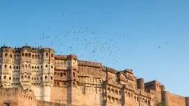 8-Day Royal Rajasthan Tour with Jaipur, Jodhpur and Udaipur.