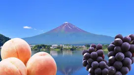 [Đảm bảo khởi hành chỉ với 1 người] Tour tham quan núi Fuji trong ngày | Bao gồm Công viên Oishi + Hang băng Narusawa + Thưởng thức đào trắng và nho Kyoho không giới hạn | [Khởi hành từ Shinjuku]