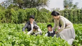 西溪濕地 臥水問茶體驗(私享搖櫓船 + 茶文化沉浸式體驗)