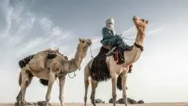 Camel Riding Marsa Alam Desert Tour With Red Sea Views