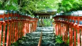 京都贵船川床料理一日游|藤屋 FUJIYA・贵船神社・龙安寺・今宫神社夏季纳凉之旅