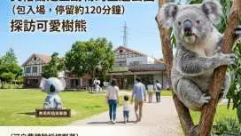 【限時特惠 買一送一|低至HK$999兩位】淡路島賞花親親樹熊一天團|英格蘭之丘動物公園・淡路花海・巨型洋蔥打卡・大鳴門橋絕景|中文導遊同行|夏日限定7-9月 大阪出發