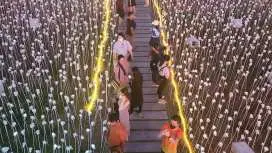 [세부] 어메이징 데이 체크아웃 투어 (LG가든 백만송이장미 어메이징쇼 공항드랍)