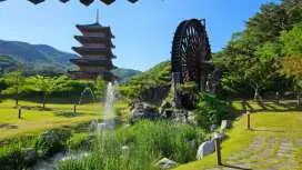 Gimcheon Nature & Healing One Day Escape