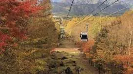 日本栃木賞楓一日遊|Hunter Mountain獵人山紅葉纜車・紅葉谷大吊橋・鹽原溫泉散策體驗|銀座出發