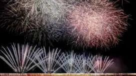 足利花火大会 日帰り観光バスツアー(東京発着)