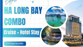 [BEST VALUE COMBO 2D1N] Ha Long Cruise (Day/Dinner Option) & Hotel Stay | Round-trip Hanoi Transfer Available