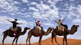 Sharm El Sheikh Camel Riding Tour With Desert Adventure