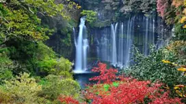 【名古屋出发】日本富士山本宫浅间大社+白丝瀑布+朝雾高原牧场|精品纯玩一日游