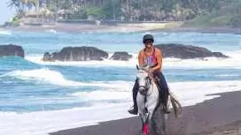 Bali Tabanan Horse Riding Experience | Scenic Rice Terraces & Beach Adventure | Departure from Bali