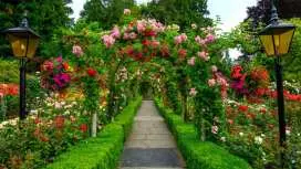 2-Day Tour of Vancouver and Victoria, Canada | Butchart Gardens / Marahat Skywalk / Cimenas