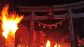 東京一日遊:吉田火祭 & 巨峰葡萄採摘之旅