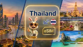 泰国 eSIM| True 5G eSIM|  支援GPT