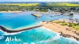 Hawaii, USA | Oahu Grand Island Tour | Koolau Valley | Macadamia Nut Farm | Sunset Beach | Dole Pineapple Plantation