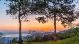 Private Transfer from Bangkok to/from Chiang Mai | Thailand