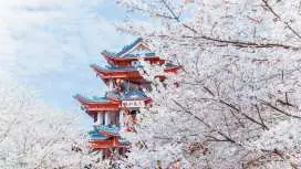 Wuxi 2-Day Tour | Lingshan Blessing, Nianhua Bay (Day and Night), Three Kingdoms & Water Margin, Yuantouzhu Fairy Island | Departure from Shanghai/Local Tour Options Available
