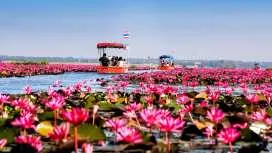 Private Transfer from Bangkok to/from Udon Thani | Thailand