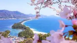 [1인 단체 투어 가능] 일본 간사이 지방 | 교토의 아름다운 절경 당일치기 여행 | 아마노하시다테, 이네 후나야, 치온지 | 오사카/교토 출발 합승 차량