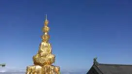 成都出發峨眉樂山1日遊包車/樂山大佛/峨眉山