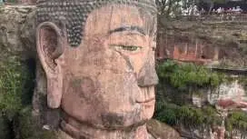 成都乐山1日游包车/黄龙溪古镇/乐山大佛