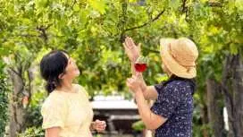 [*Real* Wine Tour] Hunter Valley Winery - Fill Your Time - Wine Tasting, Emotional Cafe, Cheese Tasting, Wild Kangaroo
