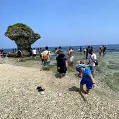 想去小琉球【包车接驳】台北|桃园|新竹|台中|至东港&盐埔码头