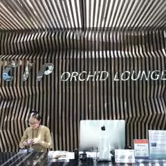 다낭 CIP 오키드 라운지 이용권 (다낭공항 출국장 내에 위치)