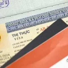 EVISA VIP service - speed up the time to return Evisa results exclusively for customers who have Evia Code (E240601TWN31******316)