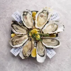 Aichi Prefecture Sakae / Yabacho | Oyster & Grillbar #lemon (Oyster & Grillbar #lemon) | Seat Reservation Only