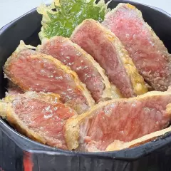 Aichi Prefecture, Seto/Aichi District | Japanese Cuisine Hida Gyu Genyo | Seat Reservation Only