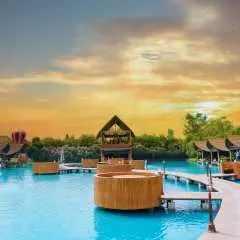 Bubble in the Forest Cafe Dining Experience | Thailand