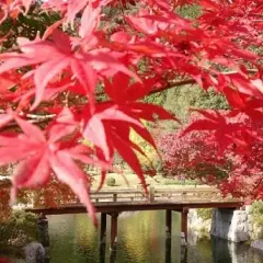 【日本旅遊】KHH南紀物語~紀州和歌山、南紀海岸秘境、伊勢志摩旅行、宇治茶香溫泉五日