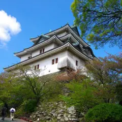 【日本旅遊】南紀物語~和歌山電鐵、南紀海岸秘境、伊勢志摩旅行、宇治茶香溫泉五日
