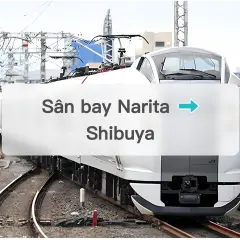 Narita Express N'EX: Sân bay Narita → Shibuya