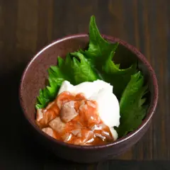 가나가와현 에노시마 | 해산물 스시 전문점 고야 이키이키 | 좌석 예약 전용
