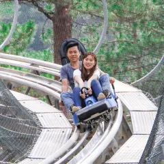 Trải Nghiệm Xe Trượt Núi Thác Datanla Tại Đà Lạt | Việt Nam