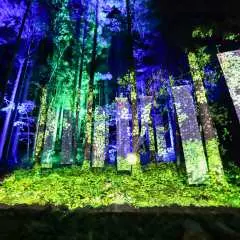 Chibam Land Light Paper-Cut Night Walk Admission Ticket (Tone District, Gunma Prefecture, Event)