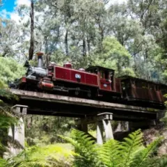 【澳洲旅遊】東澳深度全覽~探索塔斯馬尼亞、藍山國家公園、莫瑞頓海豚島、神仙企鵝歸巢16日