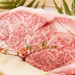 Matsue, Shimane Prefecture | Yakiniku Yakiniku Toraji (Grilled Meat Toraji) | Seat Reservation Only