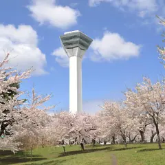 【日本旅遊】享戀北海道~小樽函館山、洞爺璀璨花火、三大蟹三溫泉、森之庭渡假村五日