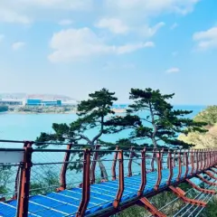 【韓國旅遊】樂透釜慶蔚~松島海上纜車、世界文化遺產、天空膠囊列車、五星溫德姆飯店五日
