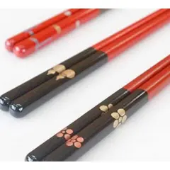 [วาคายามะ เมืองไคแนน] ประสบการณ์การทําตะเกียบเคลือบแล็กเกอร์ - สร้างตะเกียบที่เป็นเอกลักษณ์ของคุณเอง! แม้แต่ผู้เริ่มต้นก็ทําได้!