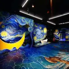 Metashow Art Lighting Exhibition Ticket at Thiso Mall