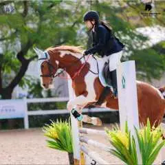 Zhuhai, China | Hengqin Fil Equestrian Club | Equestrian Experience | English Riding | One-on-One Lessons