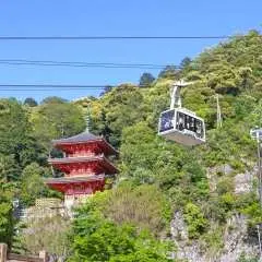 Nagoya, Japan to Gifu Kinkazan Scenic Package