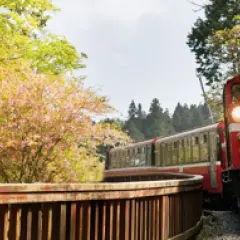 Add-on High Speed ​​Rail tickets for Up to 25% Off| Chiayi 2-Day Tour | Alishan Forest Railway & Sunrise Viewing & Fenqihu & Round-Trip High Speed ​​Rail Tickets | High Speed ​​Rail Holiday