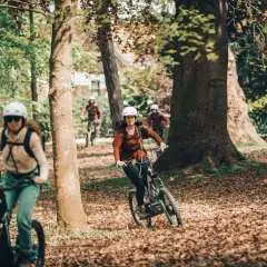 Ghent: Green Snake E-Step Tour with Local Guide|Belgium